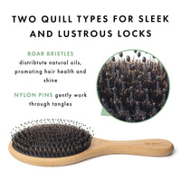 Mixed Quill Oval Brush
