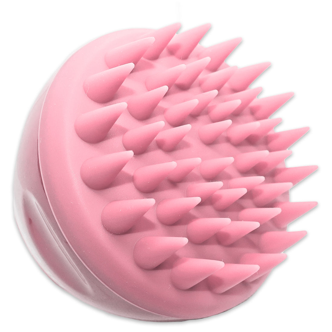 Shampoo Brush